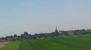 ارتفاع الحرارة والأتربة.. ملامح حالة الطقس في مصر خلال ساعات يوم السبت 7 فبراير